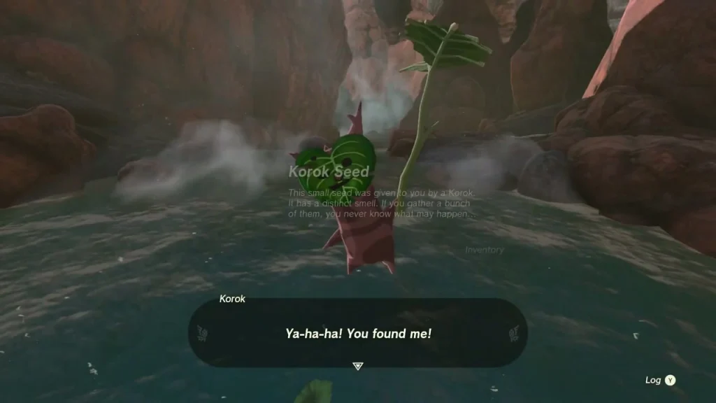 Korok Seed item box on a rock in a lake with waterfalls Korok Seed item box on a rock in a lake with waterfalls