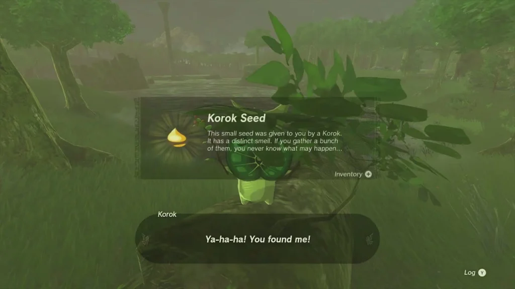 Korok Seed item box above a leafy plant after breaking the hidden acorn pot Korok Seed item box above a leafy plant after breaking the hidden acorn pot