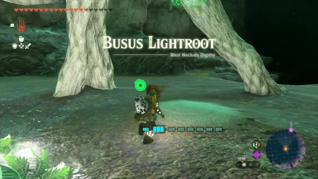 Busus Lightroot name in the West Necluda Depths beside its giant roots Busus Lightroot name in the West Necluda Depths beside its giant roots