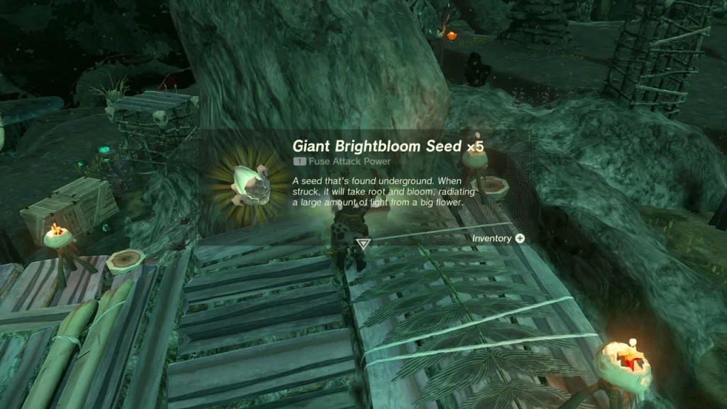 Giant Brightbloom Seed item box beside torches on the wooden platform Giant Brightbloom Seed item box beside torches on the wooden platform