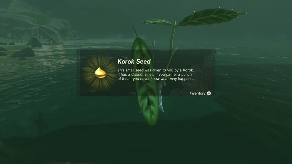 Korok Seed item box on the shore Korok Seed item box on the shore