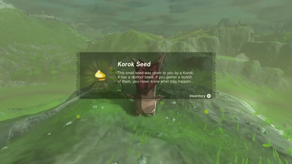 Korok Seed item box on the sunlit mound Korok Seed item box on the sunlit mound