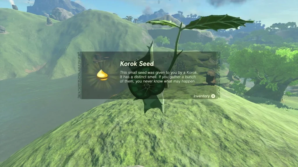 Korok Seed item box on the green hilltop Korok Seed item box on the green hilltop