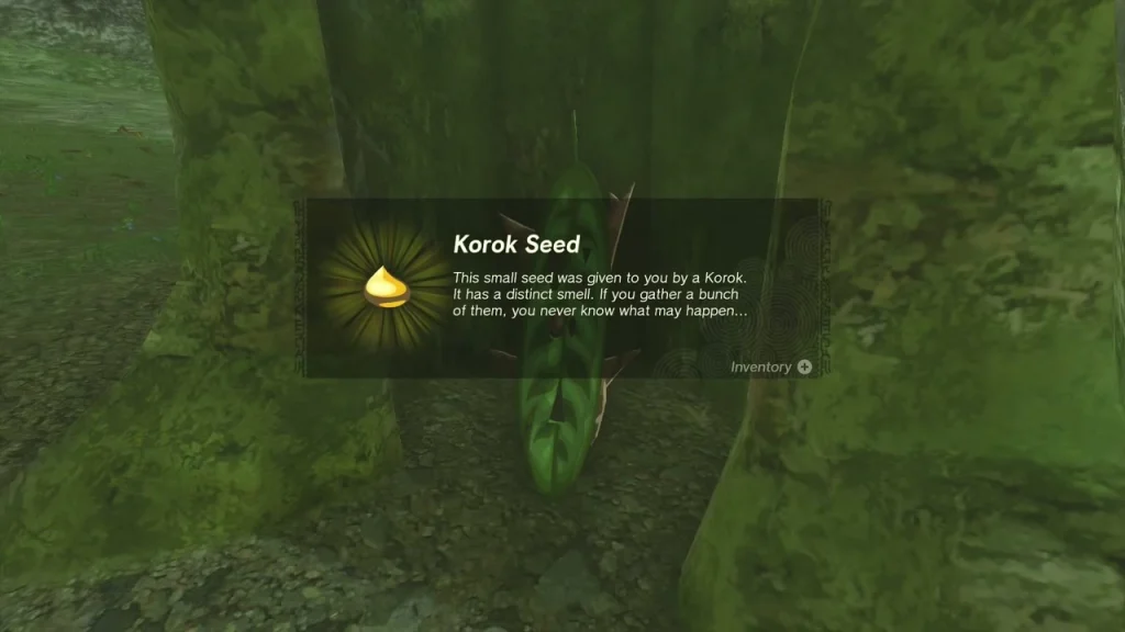 Korok Seed item box under the large tree Korok Seed item box under the large tree