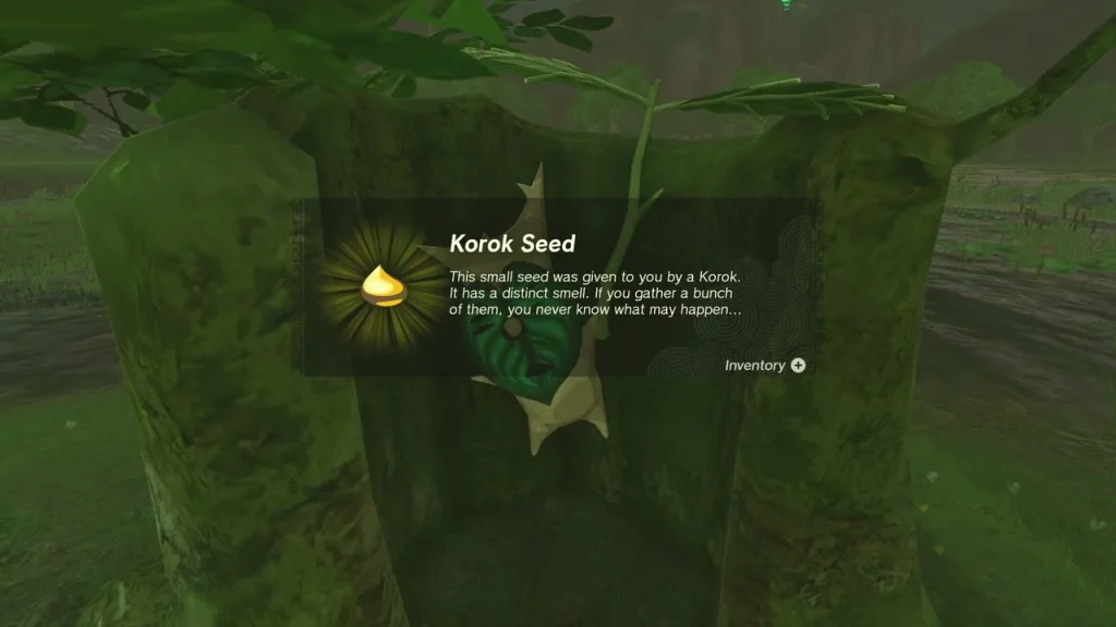 Korok Seed item box in the tree hollow Korok Seed item box in the tree hollow