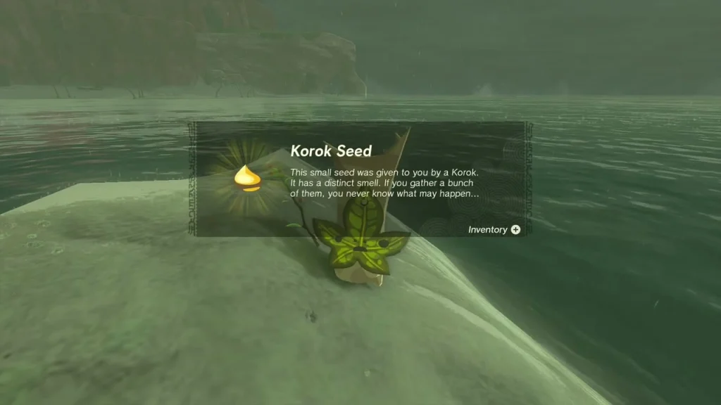 Korok Seed item box on the sandbar Korok Seed item box on the sandbar