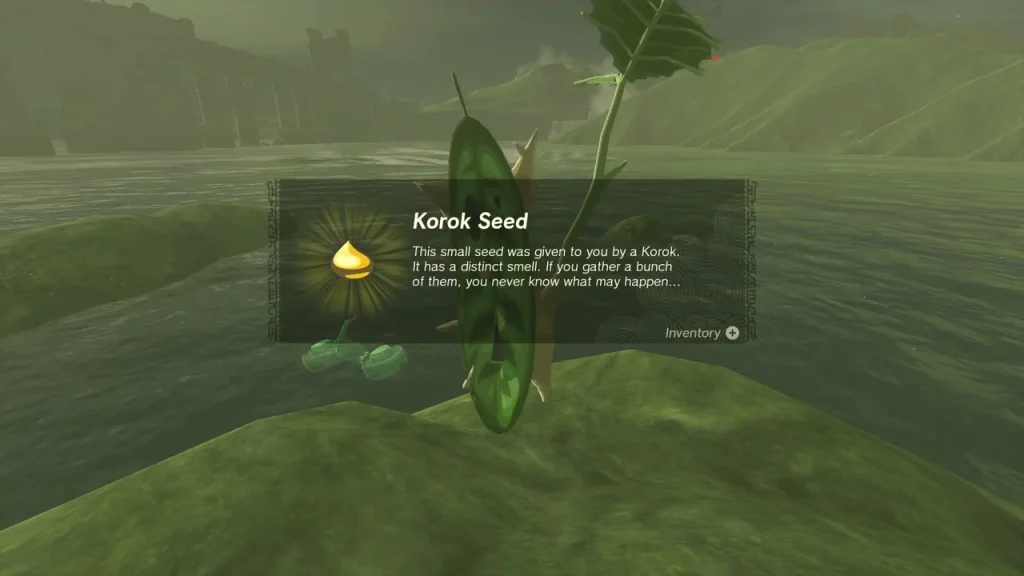 Korok Seed item box on the Lake Hylia islet Korok Seed item box on the Lake Hylia islet