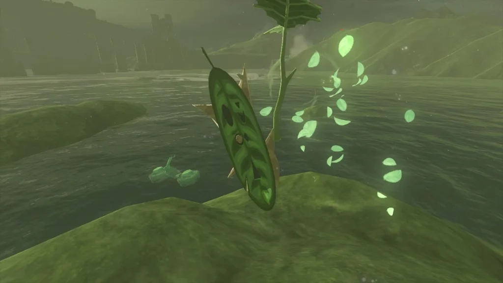 Small grassy islet in Lake Hylia where the Korok appears Small grassy islet in Lake Hylia where the Korok appears