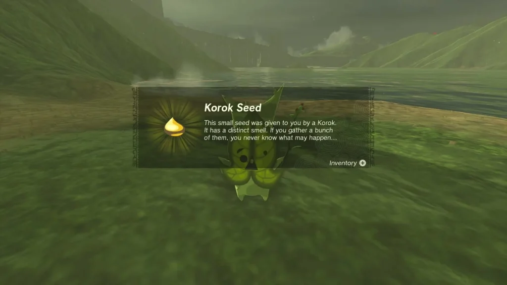 Korok Seed item box on the Lake Hylia shore Korok Seed item box on the Lake Hylia shore