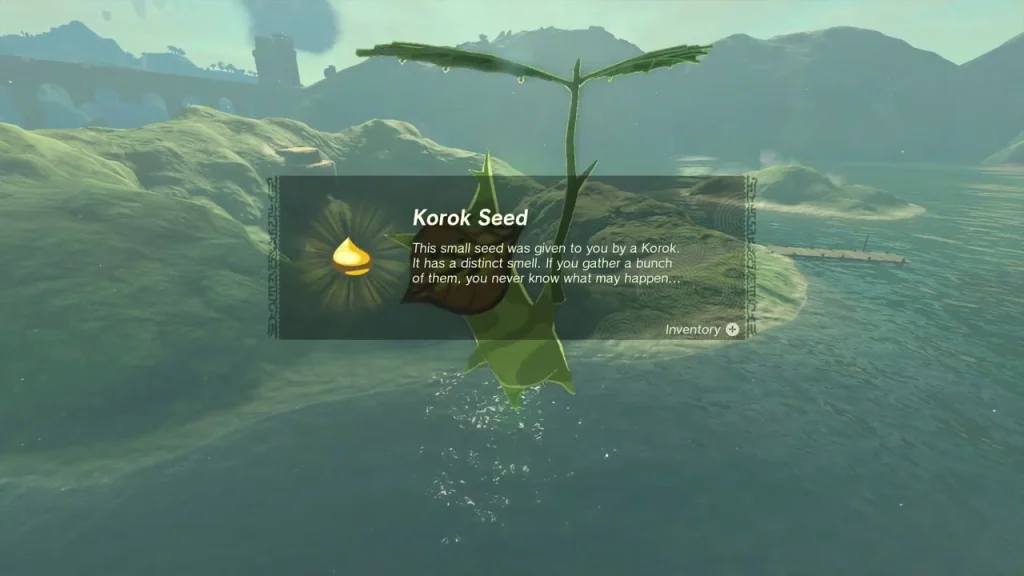 Korok Seed item box on the Lake Hylia west shore Korok Seed item box on the Lake Hylia west shore