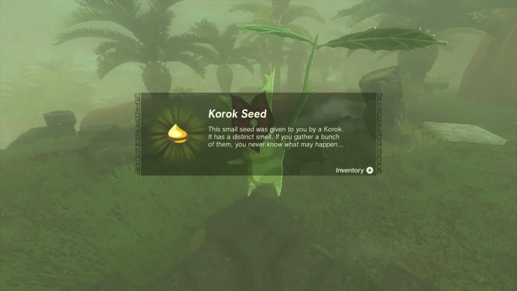 Korok Seed item box above the cubes Korok Seed item box above the cubes