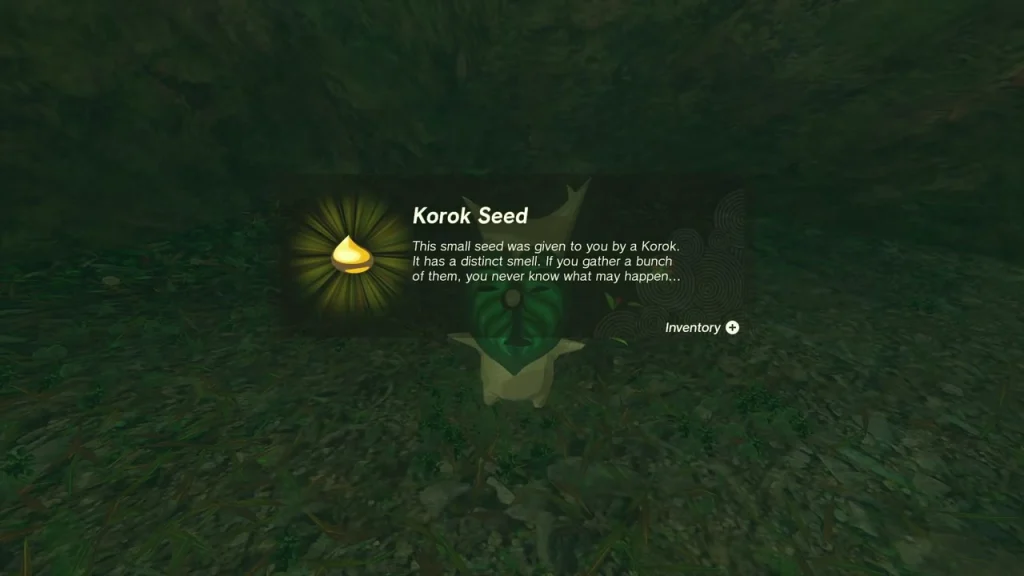 Korok Seed item box on the wooded slope Korok Seed item box on the wooded slope