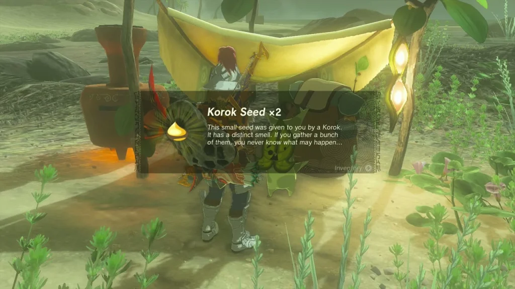 Korok Seed x2 item box at the beach tent Korok Seed x2 item box at the beach tent