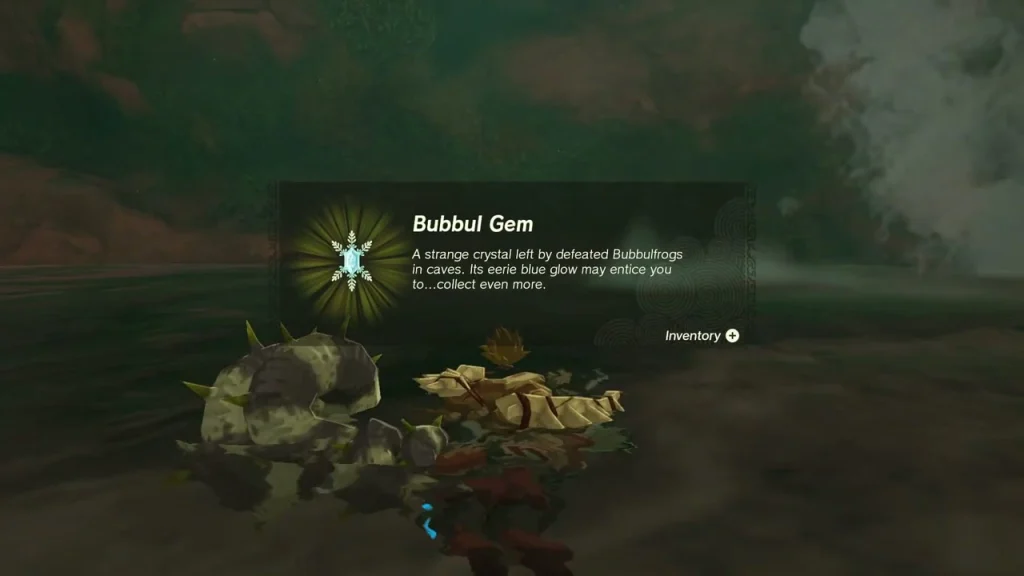 Bubbul Gem item box held up beside the Bubbulfrog spot Bubbul Gem item box held up beside the Bubbulfrog spot