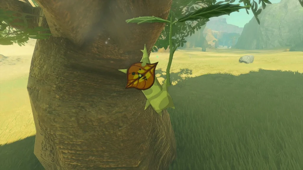 Wide tree trunk with a hidden Korok at its base Wide tree trunk with a hidden Korok at its base