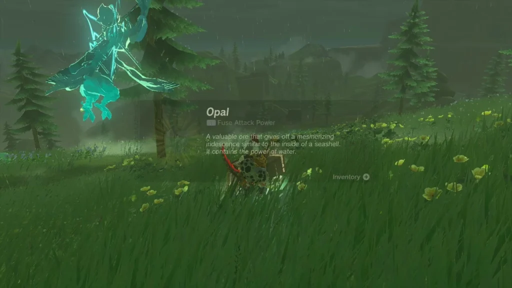 Opal item box held up after opening the chest Opal item box held up after opening the chest