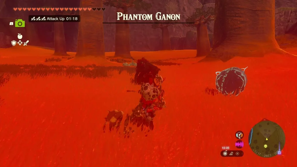 Phantom Ganon fighting inside the gloom pool Phantom Ganon fighting inside the gloom pool