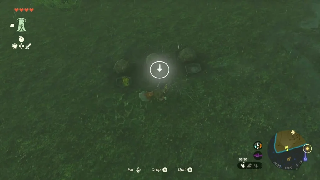 Marked drop spot for the Mighty Bananas offering in the grass Marked drop spot for the Mighty Bananas offering in the grass