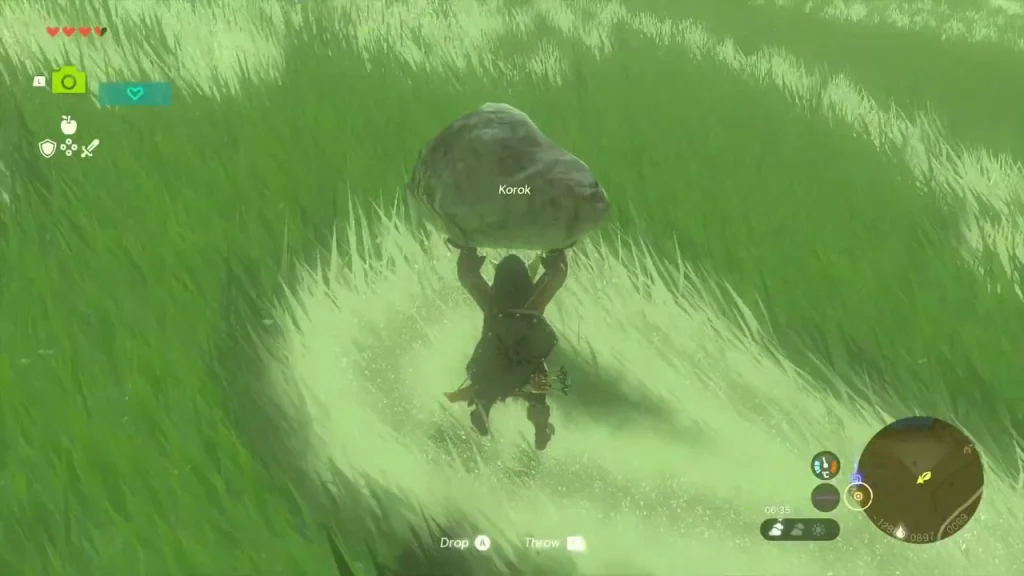 Loose rock carried to the flattened circle in the grass where the Korok hides Loose rock carried to the flattened circle in the grass where the Korok hides