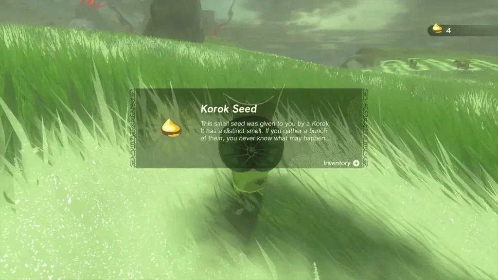 Korok in the long grass handing over a Korok Seed Korok in the long grass handing over a Korok Seed