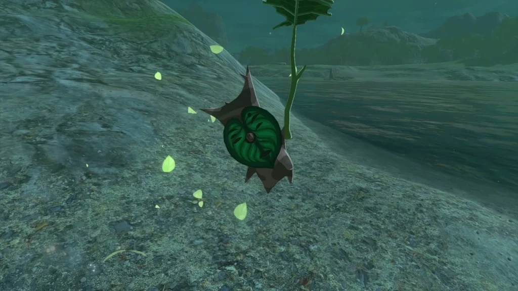 Korok holding a leaf on the hillside after the target is hit Korok holding a leaf on the hillside after the target is hit