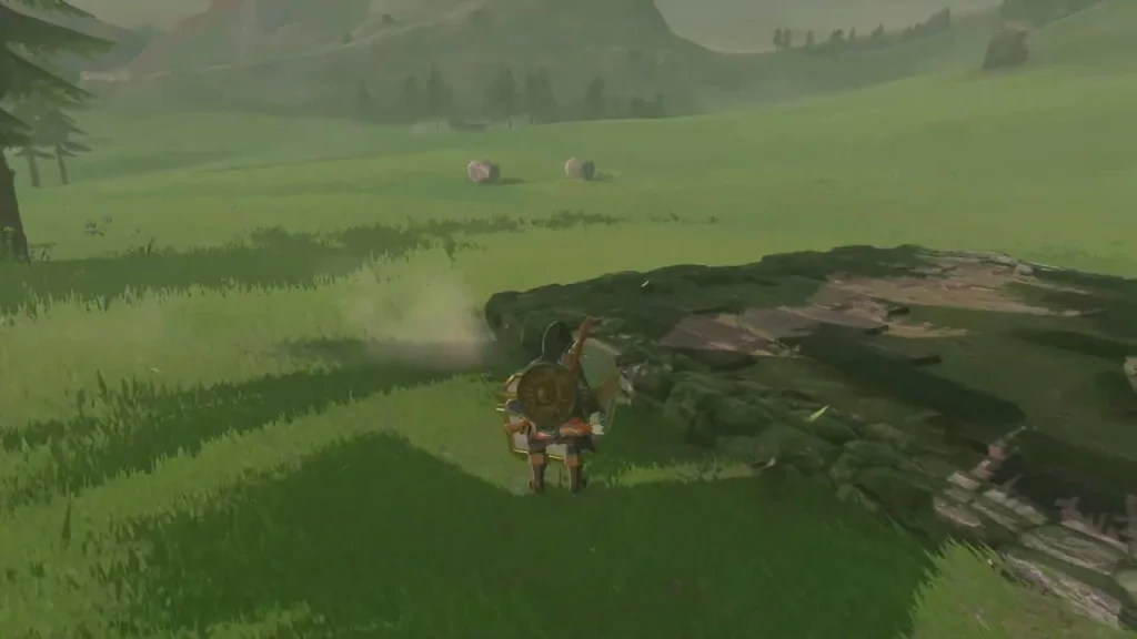Chest in the grass beside a low ruined stone wall Chest in the grass beside a low ruined stone wall
