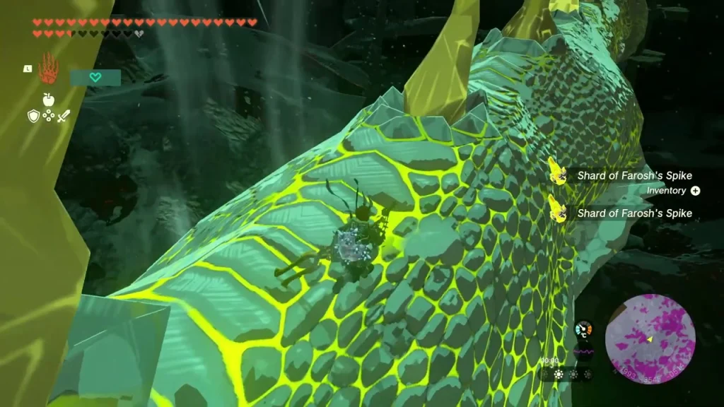 Two shards of Farosh's Spike collected from the dragon's back Two shards of Farosh's Spike collected from the dragon's back