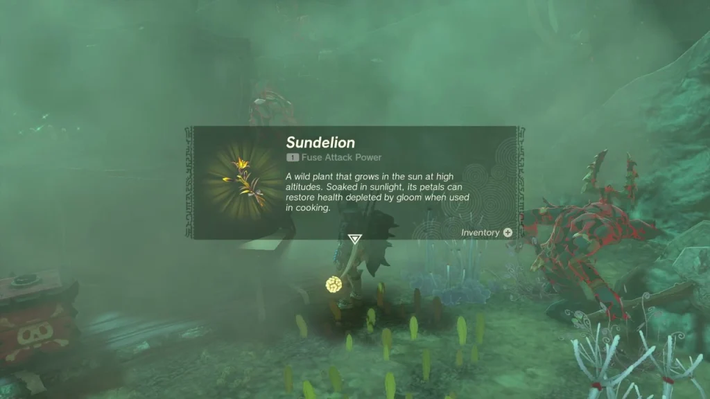 Sundelion item box over the raft chest Sundelion item box over the raft chest