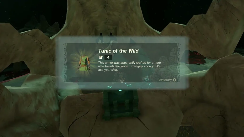 Tunic of the Wild item box above the root-cavern chest Tunic of the Wild item box above the root-cavern chest