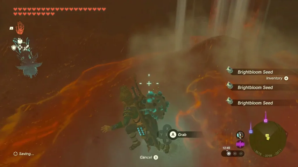 Central Gerudo Cave passage with a lava pool and Brightbloom Seeds on the ground Central Gerudo Cave passage with a lava pool and Brightbloom Seeds on the ground