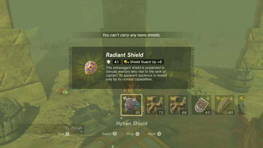 Radiant Shield item box from a chest in the western canyon Radiant Shield item box from a chest in the western canyon