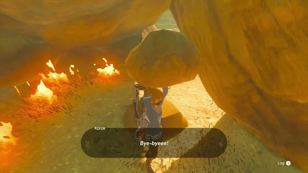 Korok farewell after the burning leaves and lifted rock Korok farewell after the burning leaves and lifted rock