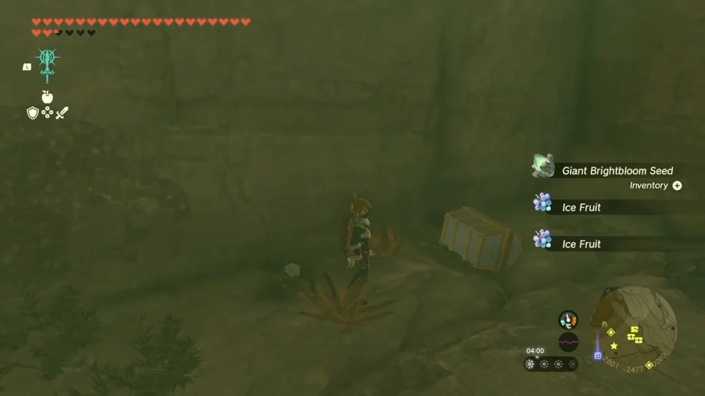Giant Brightbloom Seed and Ice Fruit pickups beside a crate in Gerudo Canyon Mine Giant Brightbloom Seed and Ice Fruit pickups beside a crate in Gerudo Canyon Mine