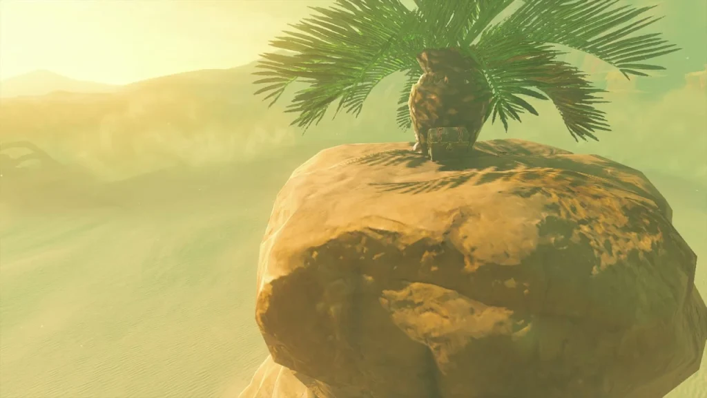 Palm tree growing on a rock at the end of the target ring course Palm tree growing on a rock at the end of the target ring course
