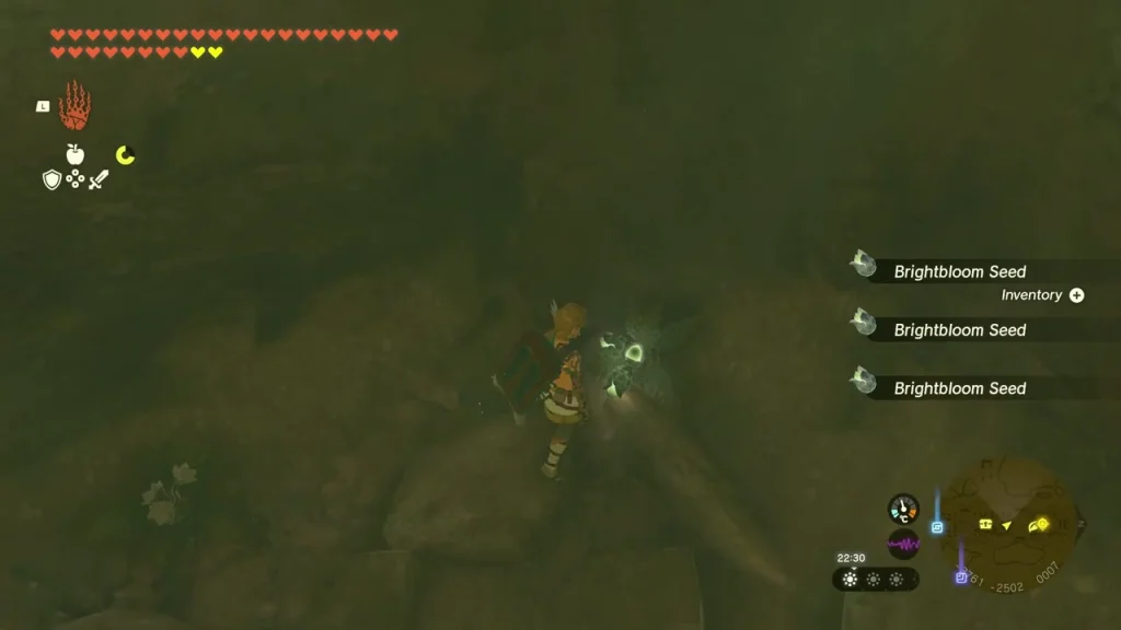 Brightbloom Seeds scattered in a dark sanctuary room