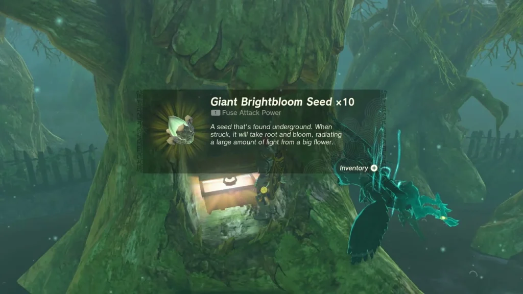 Giant Brightbloom Seed x10 item box above the chest in the hollow tree trunk