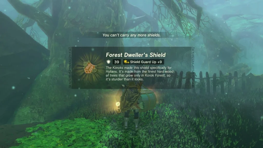 Forest Dweller's Shield item box above the opened chest at the swamp tree