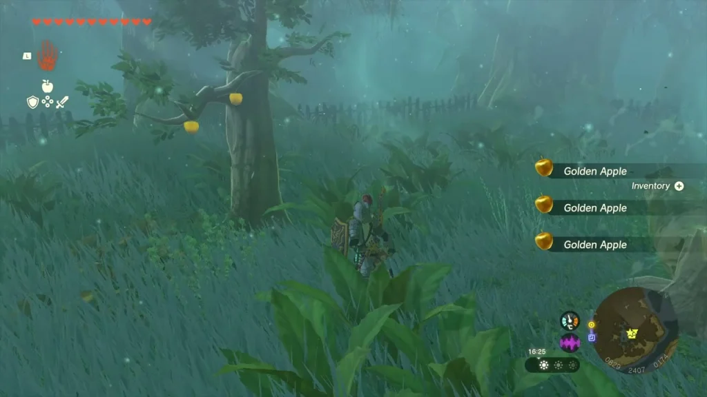 Golden apple tree in Mido Swamp with three Golden Apples being collected from the grass below