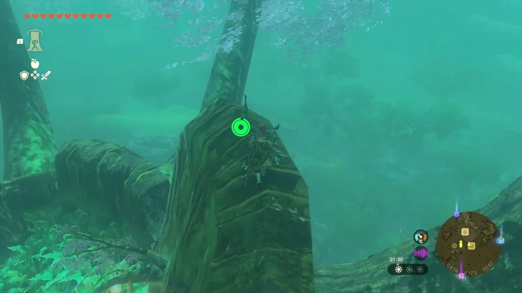 Climbable bark ridge on the Great Deku Tree where a Walton treasure hunt item is hidden