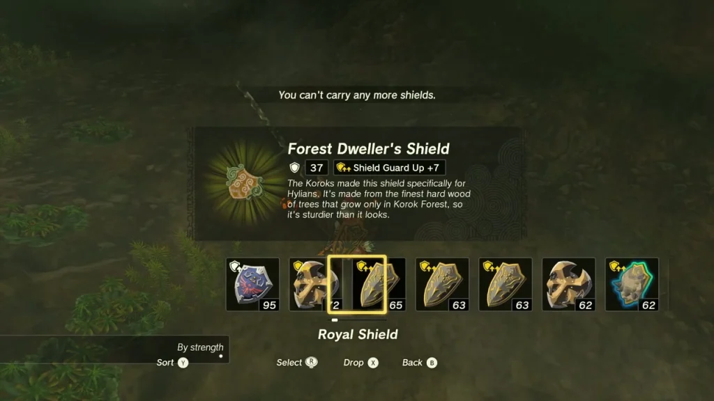 Forest Dweller's Shield item box in Deplian Badlands Cave