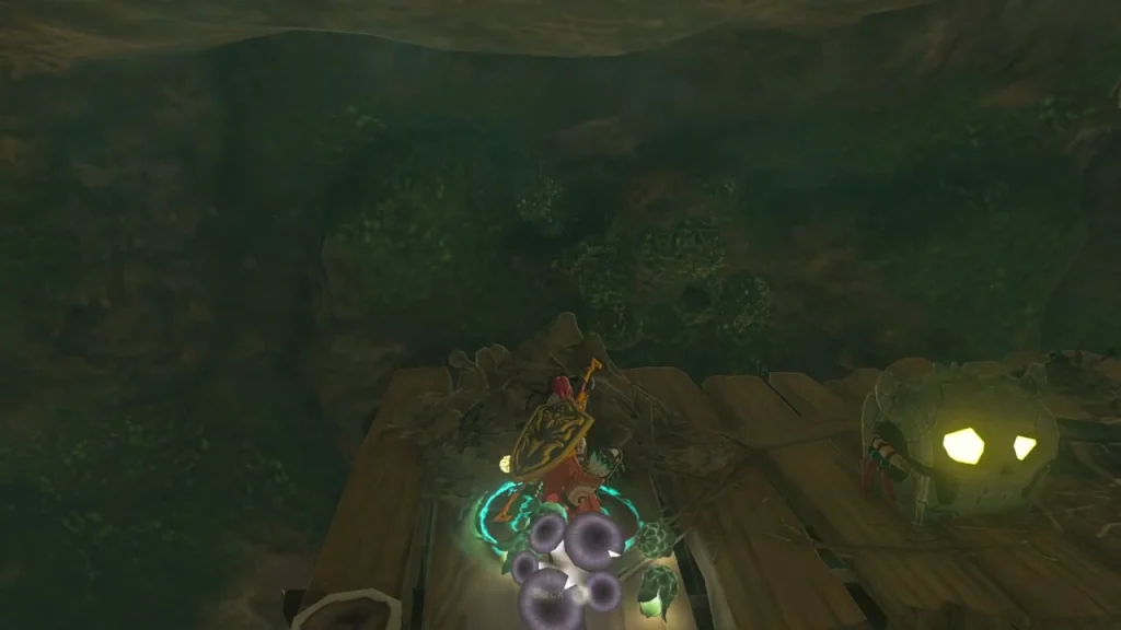 Silver Lizal Spear in an item box from the chest on the wooden ledge
