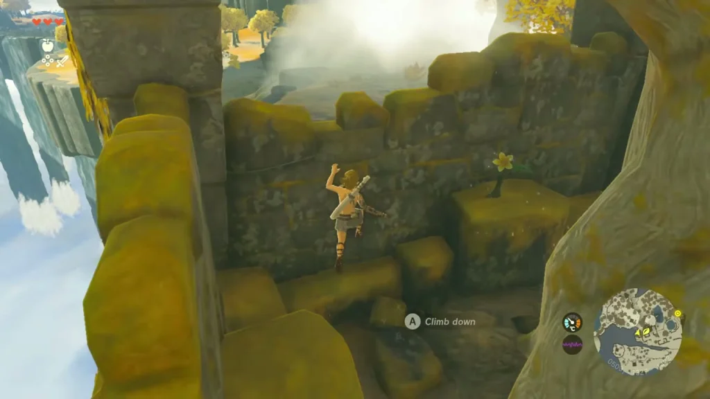 Yellow flower on top of a ruin wall above a climbable mossy ledge Yellow flower on top of a ruin wall above a climbable mossy ledge