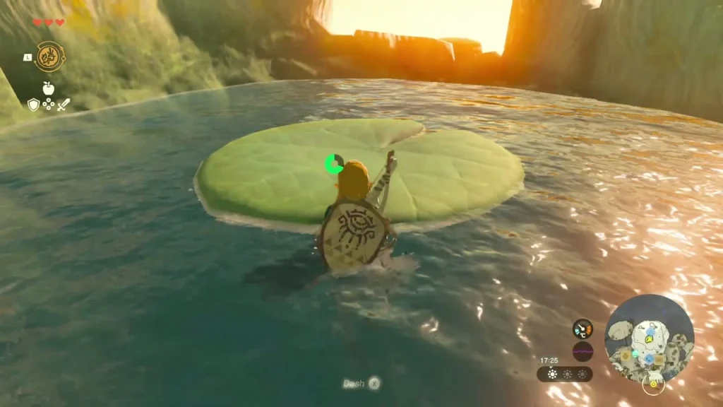 Lily pad floating in a small pond with rocks around it Lily pad floating in a small pond with rocks around it