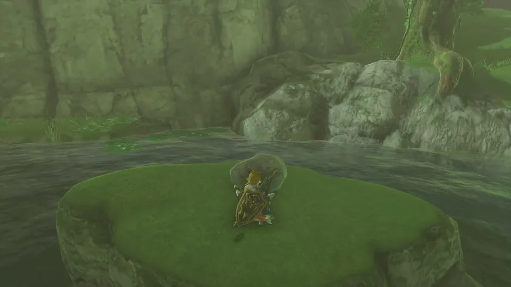 Grassy islet in a stream with a boulder to lift for the Korok Grassy islet in a stream with a boulder to lift for the Korok