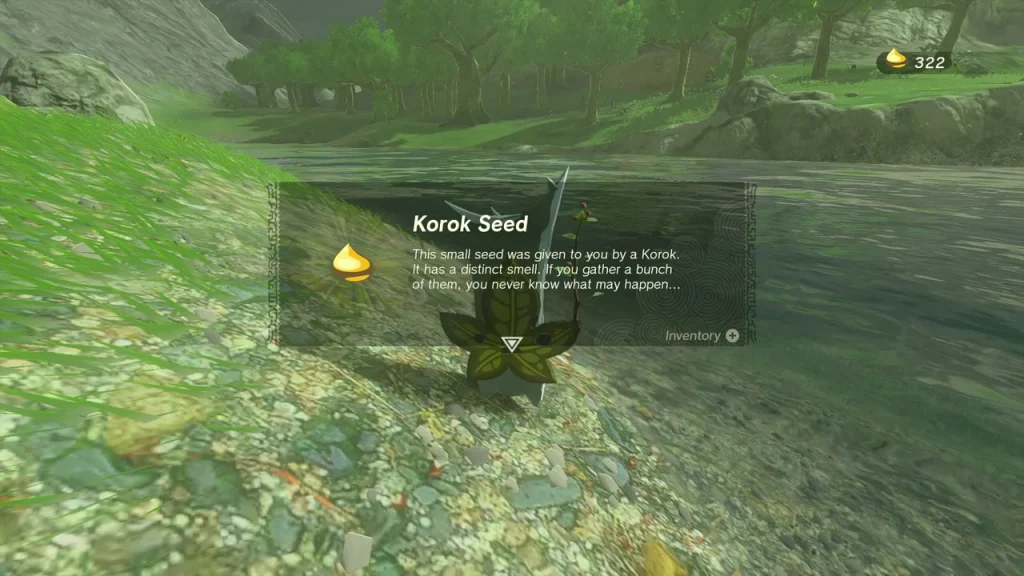 Korok Seed item box on the pebbly bank of the river Korok Seed item box on the pebbly bank of the river