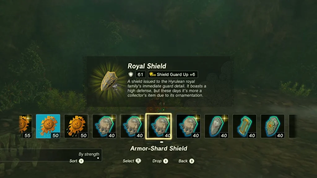 Royal Shield item box over the first chest Royal Shield item box over the first chest