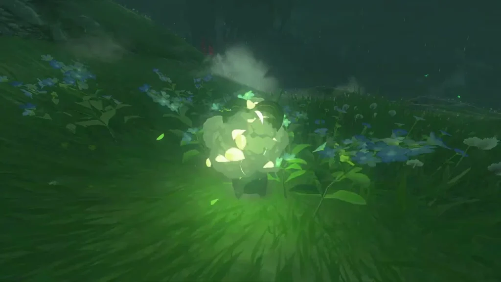 Korok bursting out of a patch of blue flowers on the hilltop Korok bursting out of a patch of blue flowers on the hilltop