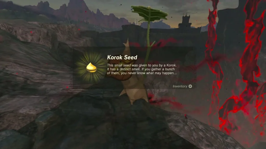 Korok Seed message over the Korok in the rocky pit Korok Seed message over the Korok in the rocky pit