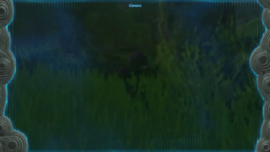 Tall grass in the forest beside the stable where the Blue Moblin's camp sits Tall grass in the forest beside the stable where the Blue Moblin's camp sits