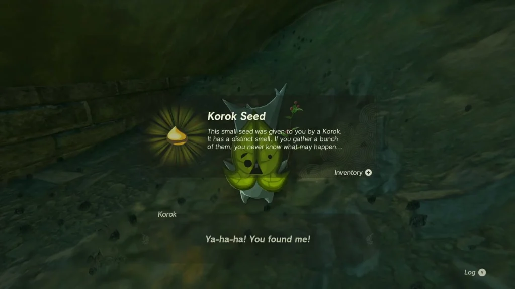 Korok Seed message with a Korok in the dark hollow under the bridge Korok Seed message with a Korok in the dark hollow under the bridge